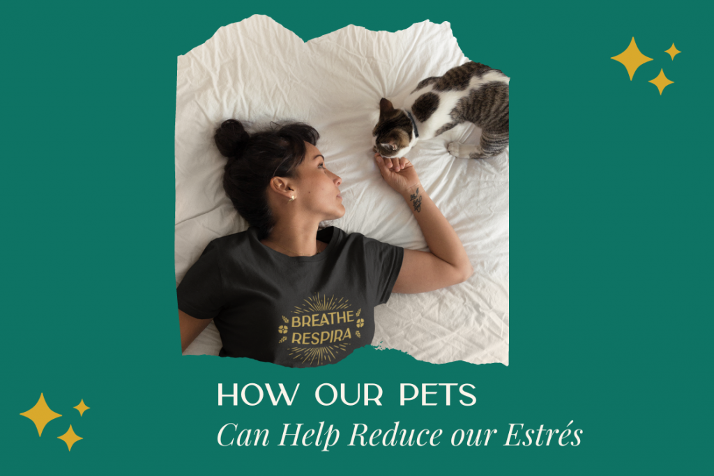 How our Pets can help reduce our estrés