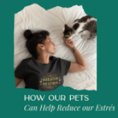 How our Pets can help reduce our estrés